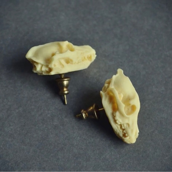 Other - “Animal Skull” Dinosaur Sabertooth Wolf Dog Oddity Creepy Spooky Replica Studs